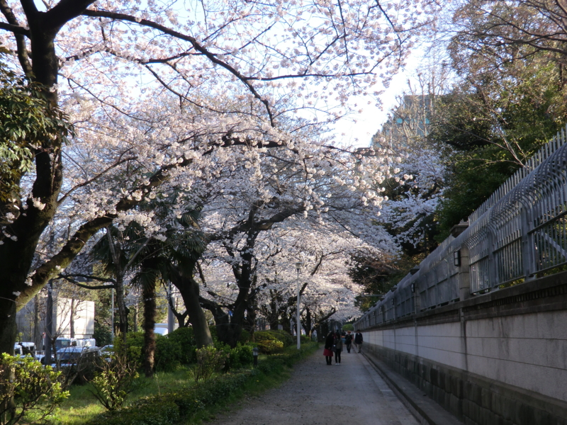 f:id:dancingbrave1986:20110406163708j:image