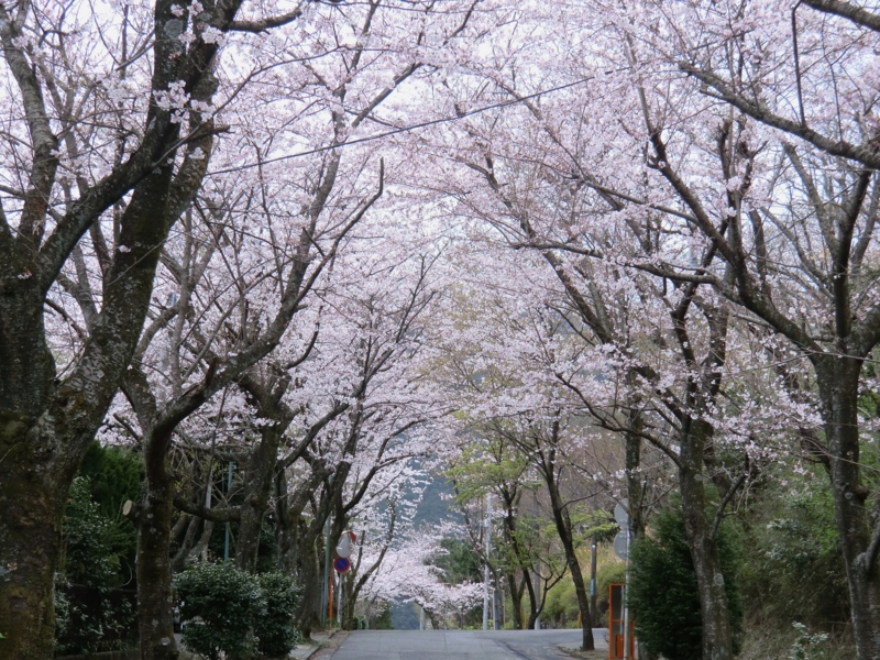 f:id:dancingbrave1986:20110407171011j:image