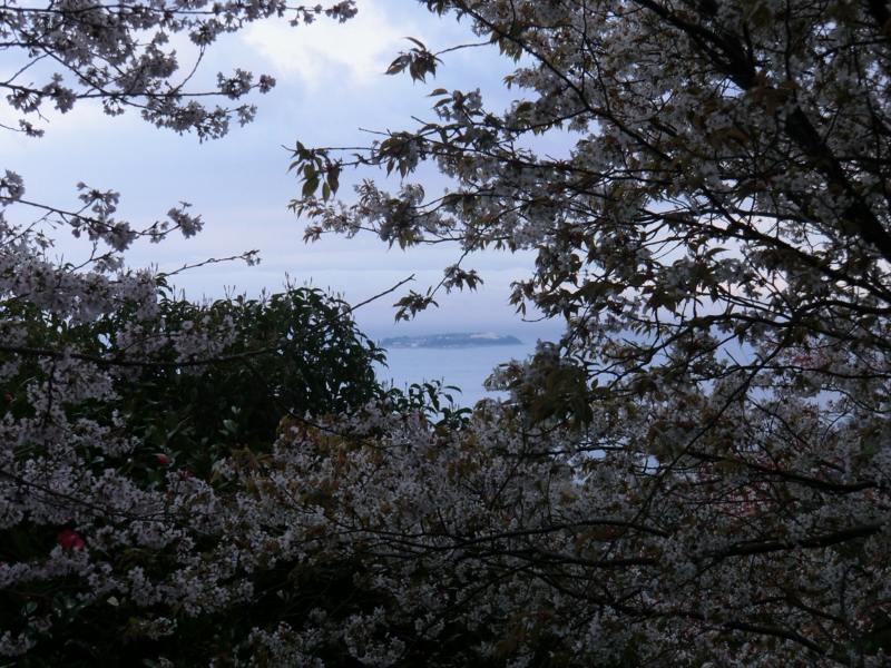 f:id:dancingbrave1986:20110408172437j:image
