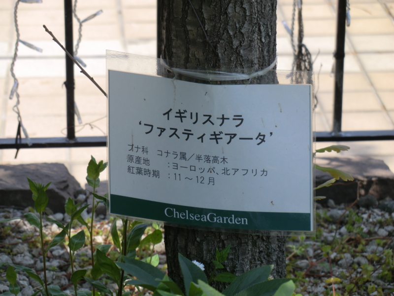 f:id:dancingbrave1986:20110424115225j:image