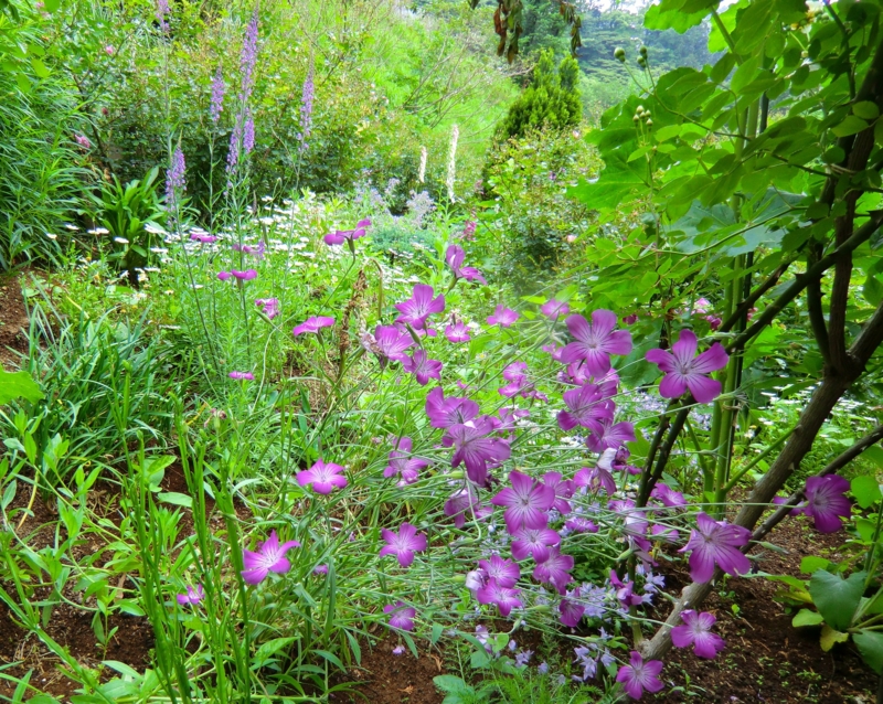 f:id:dancingbrave1986:20110526102322j:image