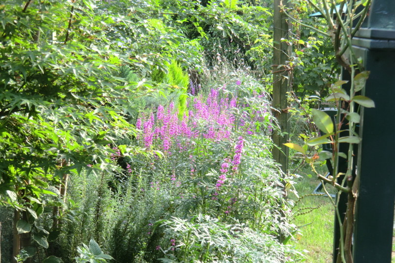 f:id:dancingbrave1986:20110808164028j:image f:id:dancingbrave1986:20110808164028j:image