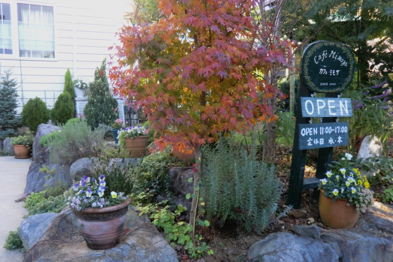 f:id:dancingbrave1986:20111212151207j:image f:id:dancingbrave1986:20111212151207j:image