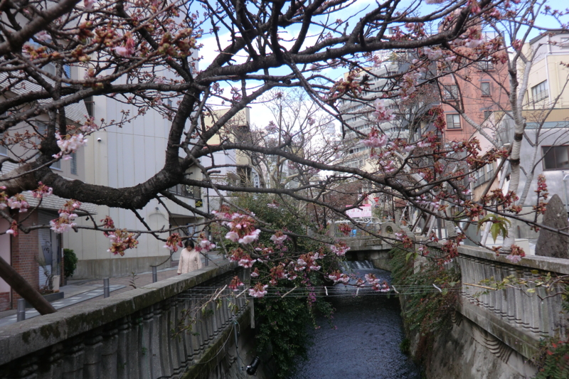 f:id:dancingbrave1986:20120208121949j:image