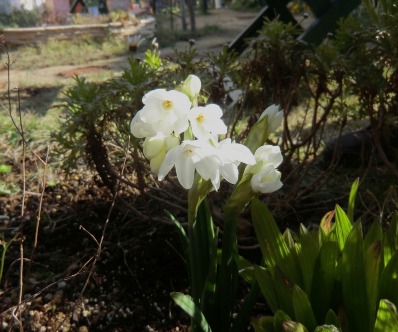 f:id:dancingbrave1986:20120213094721j:image