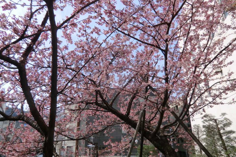 f:id:dancingbrave1986:20120228093454j:image f:id:dancingbrave1986:20120228093454j:image