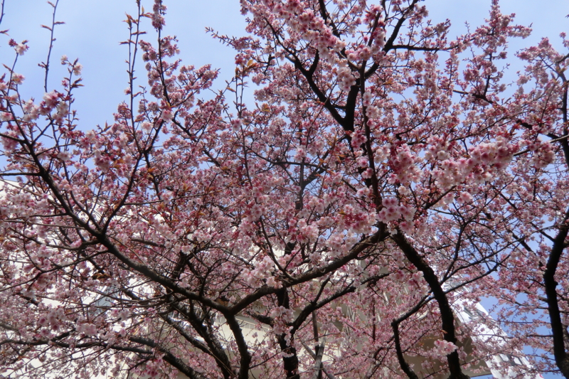 f:id:dancingbrave1986:20120228093537j:image f:id:dancingbrave1986:20120228093537j:image