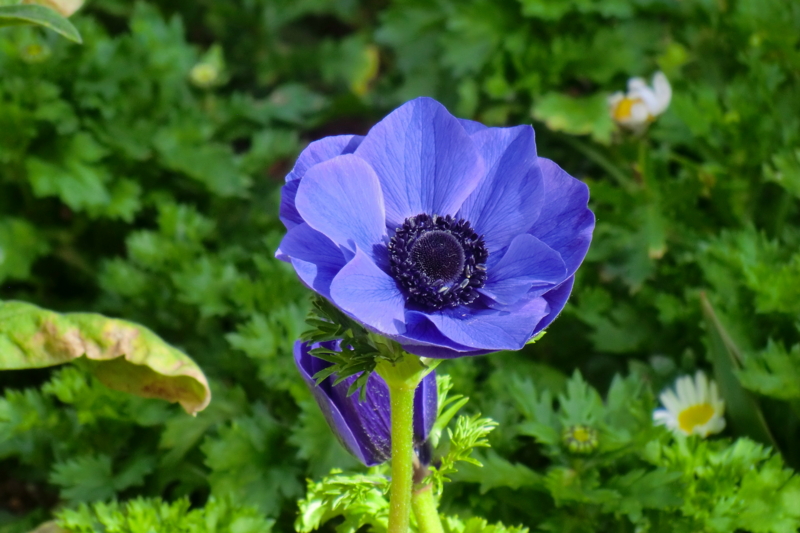 f:id:dancingbrave1986:20120312143227j:image