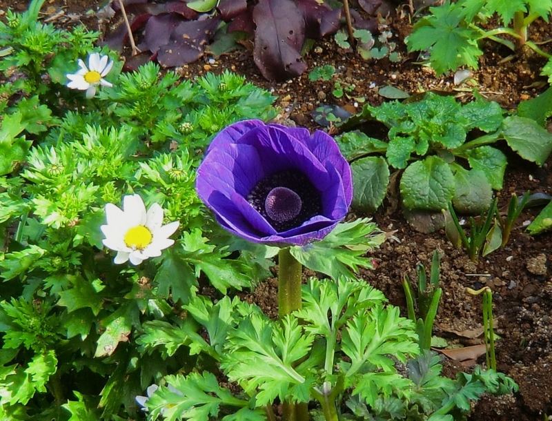 f:id:dancingbrave1986:20120312145413j:image