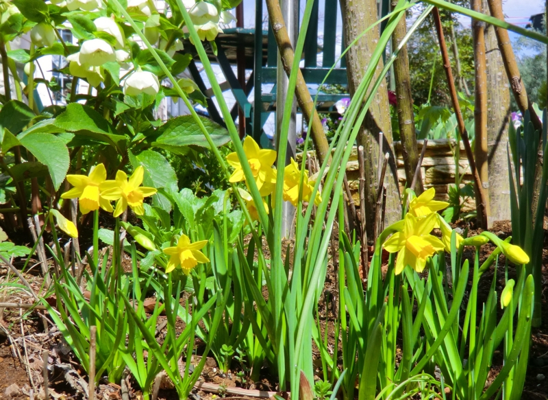 f:id:dancingbrave1986:20120324130159j:image f:id:dancingbrave1986:20120324130159j:image