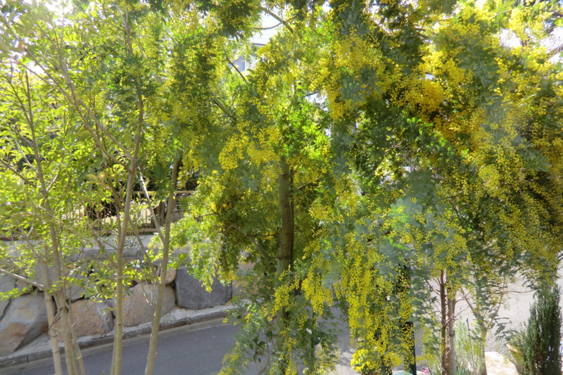 f:id:dancingbrave1986:20120330133247j:image