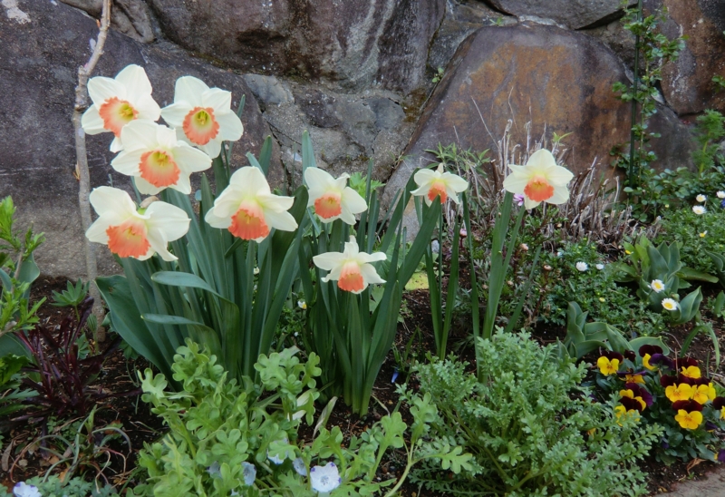 f:id:dancingbrave1986:20120404081938j:image f:id:dancingbrave1986:20120404081938j:image