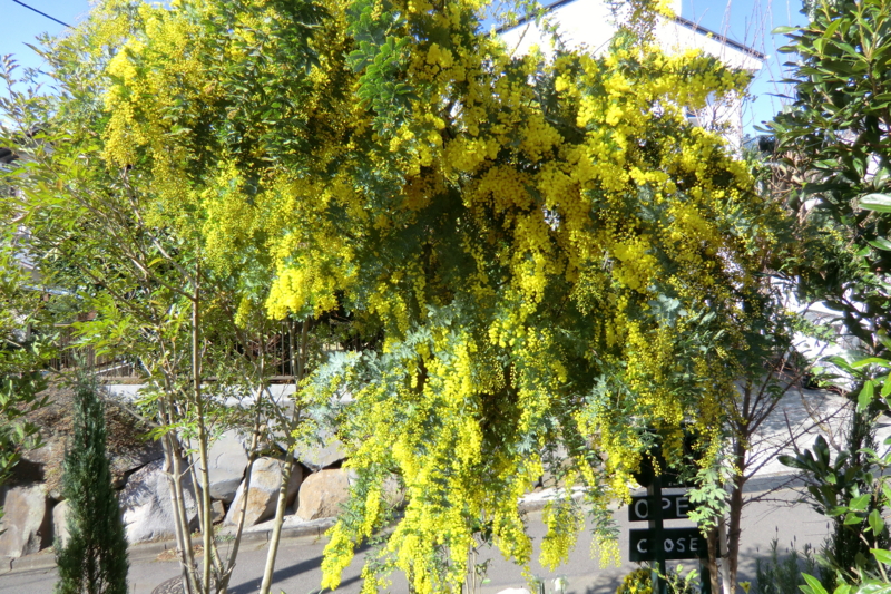 f:id:dancingbrave1986:20120404082833j:image f:id:dancingbrave1986:20120404082833j:image