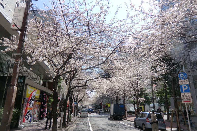 f:id:dancingbrave1986:20120404103839j:image f:id:dancingbrave1986:20120404103839j:image