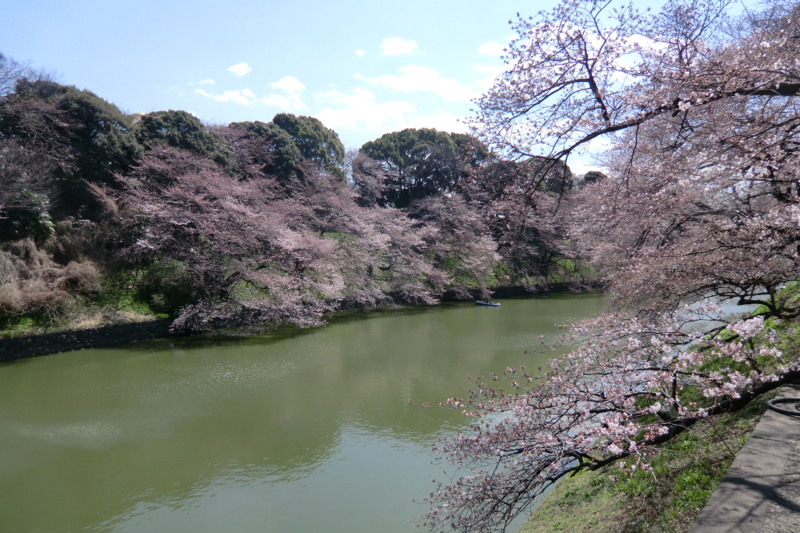 f:id:dancingbrave1986:20120404105810j:image f:id:dancingbrave1986:20120404105810j:image