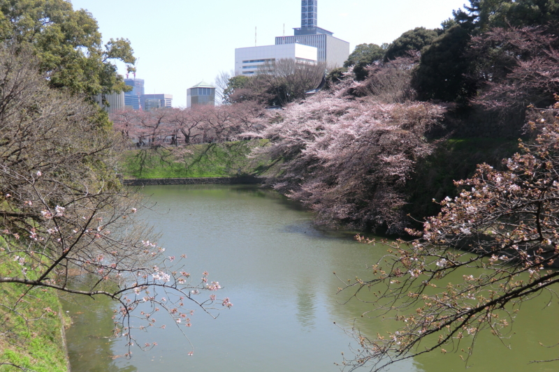 f:id:dancingbrave1986:20120404110145j:image f:id:dancingbrave1986:20120404110145j:image