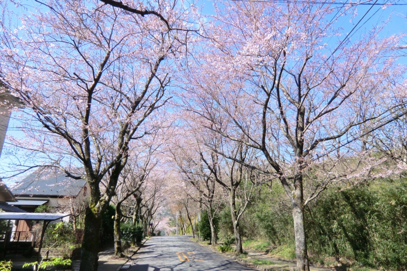 f:id:dancingbrave1986:20120407092426j:image