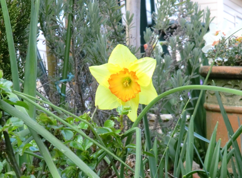 f:id:dancingbrave1986:20120409171809j:image
