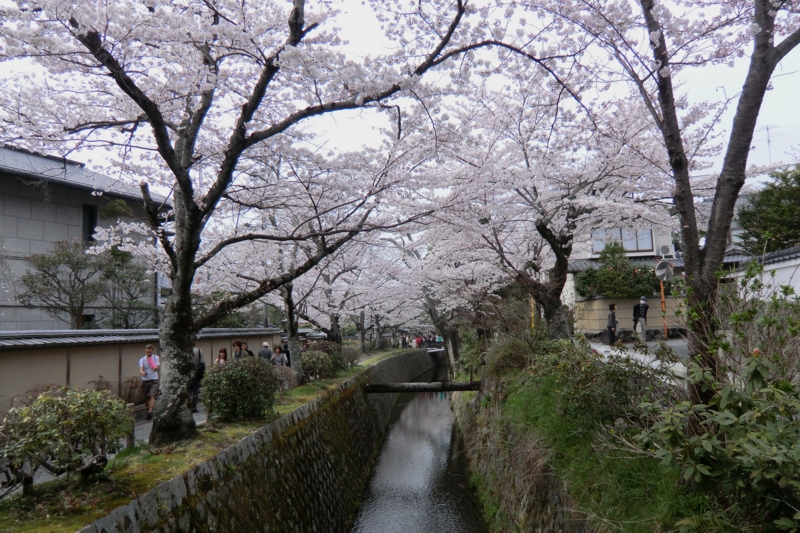 f:id:dancingbrave1986:20120410142728j:image f:id:dancingbrave1986:20120410142728j:image