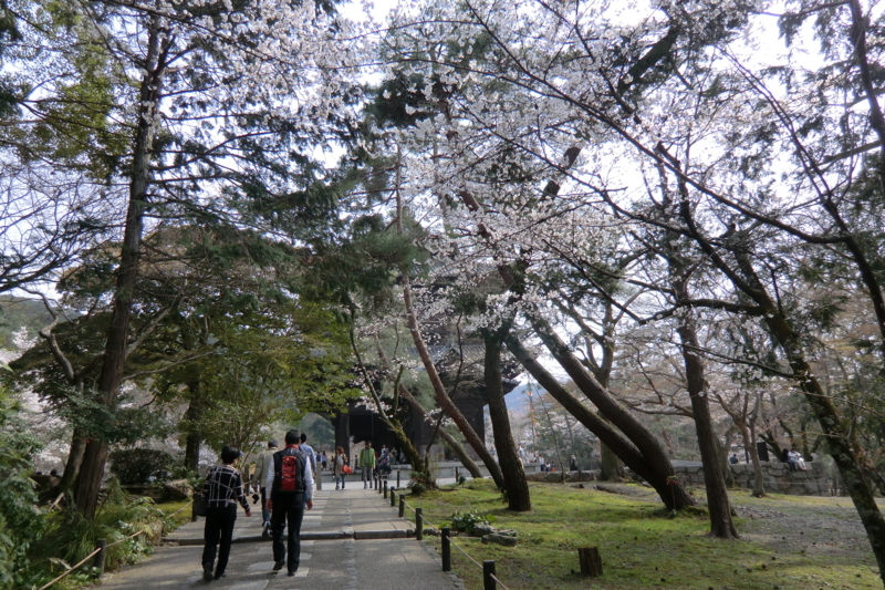 f:id:dancingbrave1986:20120410151207j:image f:id:dancingbrave1986:20120410151207j:image