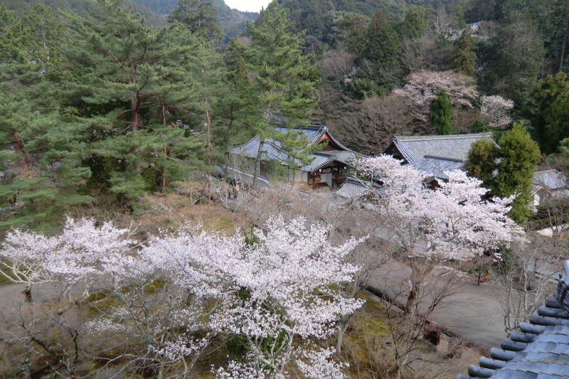 f:id:dancingbrave1986:20120410152047j:image