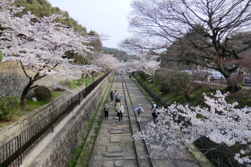 f:id:dancingbrave1986:20120410153032j:image