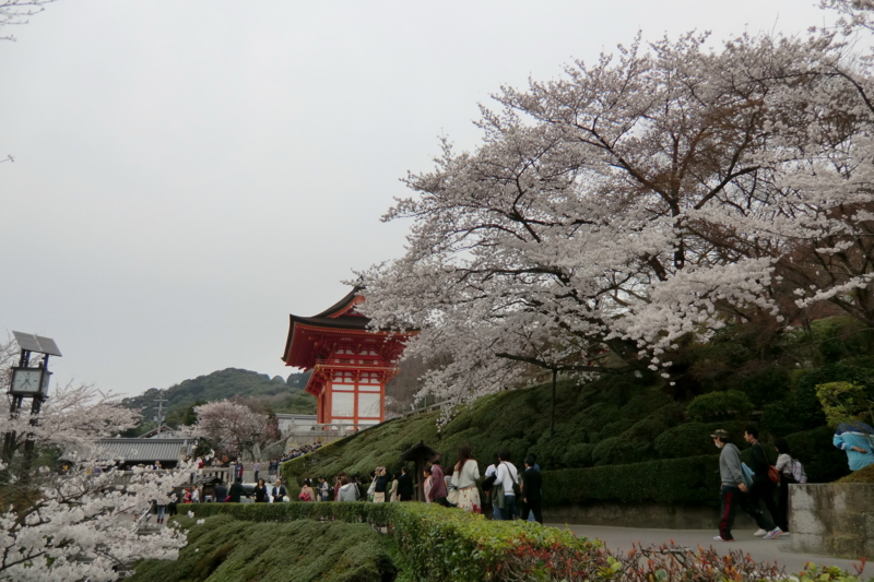 f:id:dancingbrave1986:20120410163905j:image
