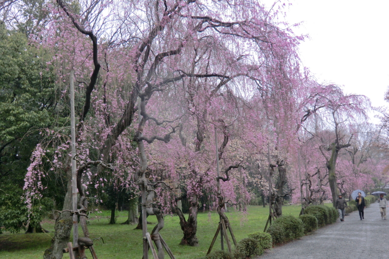 f:id:dancingbrave1986:20120411110750j:image