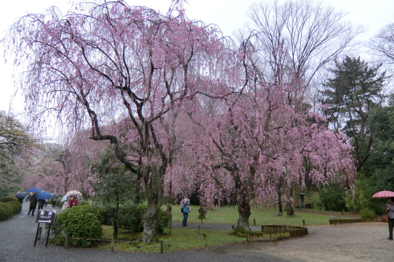f:id:dancingbrave1986:20120411111415j:image