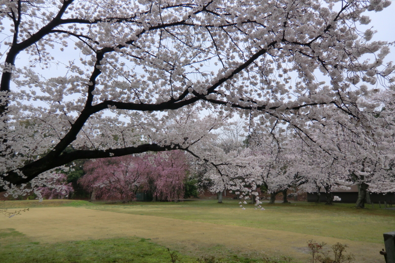 f:id:dancingbrave1986:20120411112800j:image