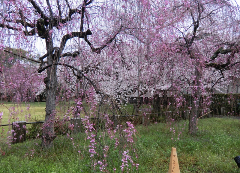 f:id:dancingbrave1986:20120411112847j:image