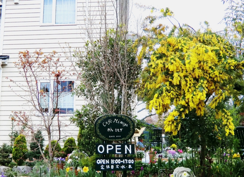 f:id:dancingbrave1986:20120415135235j:image