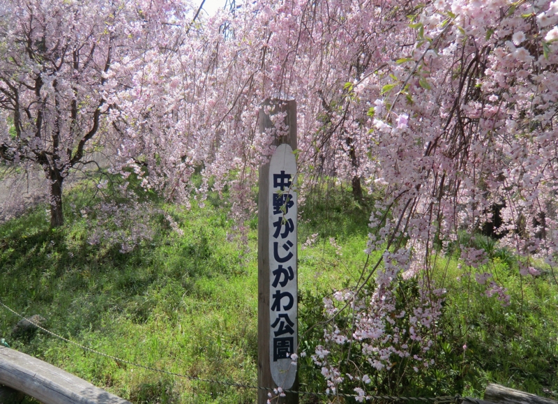 f:id:dancingbrave1986:20120419131957j:image f:id:dancingbrave1986:20120419131957j:image