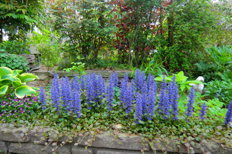 f:id:dancingbrave1986:20120425112812j:image f:id:dancingbrave1986:20120425112812j:image