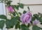 20120604135608