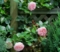 20120604140206