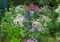 20120604162934