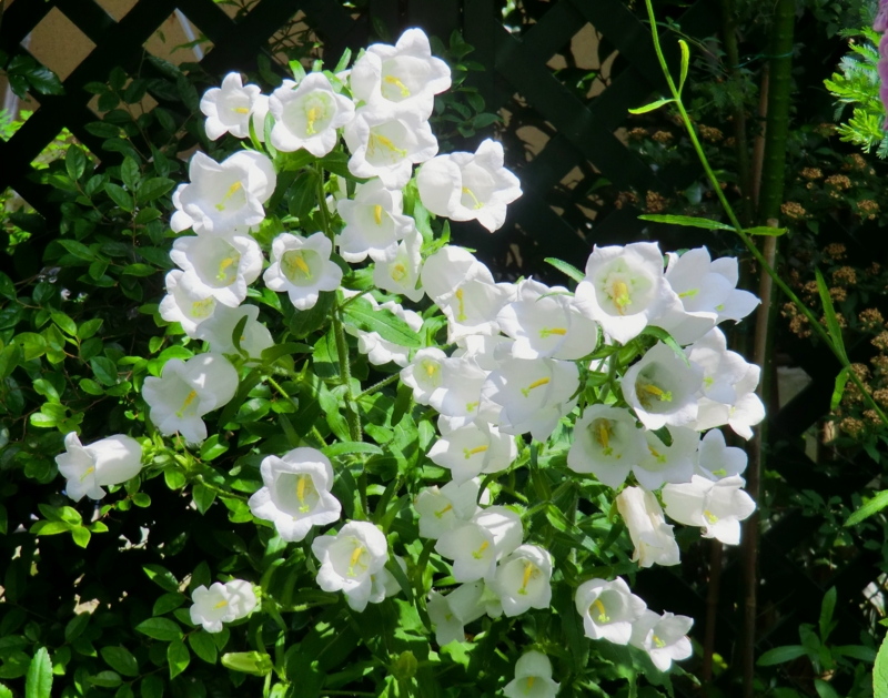 f:id:dancingbrave1986:20120608135322j:image