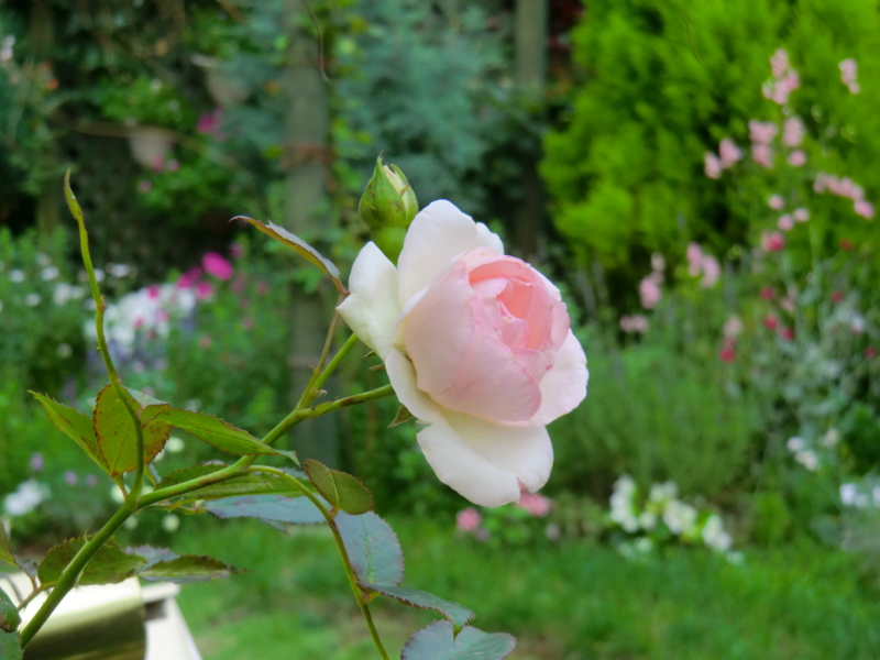 f:id:dancingbrave1986:20120704174143j:image