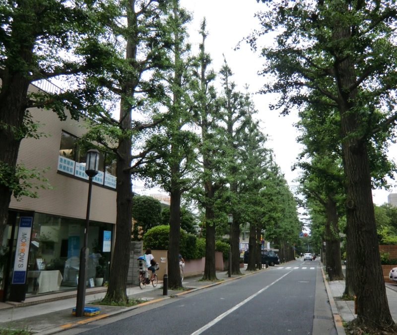 f:id:dancingbrave1986:20120707153015j:image