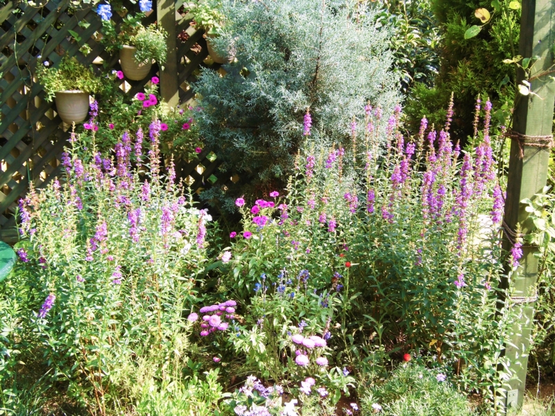 f:id:dancingbrave1986:20120808150417j:image f:id:dancingbrave1986:20120808150417j:image