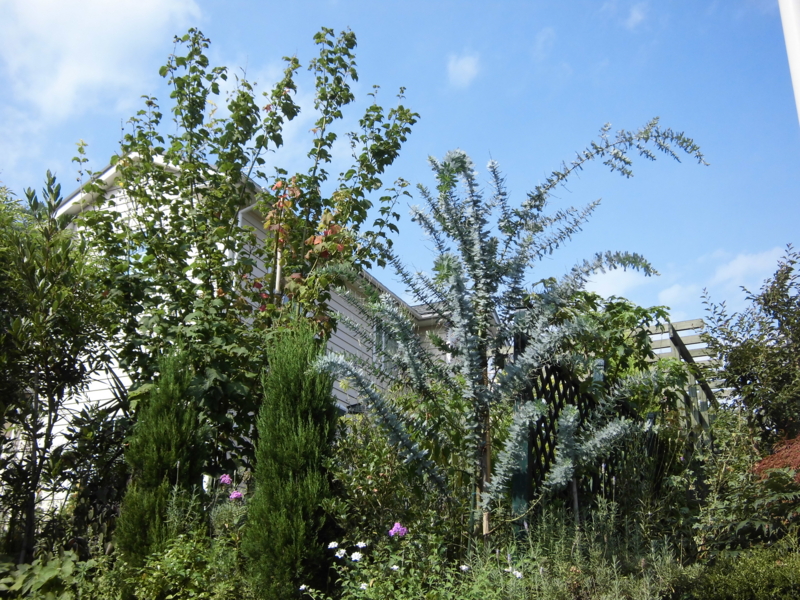 f:id:dancingbrave1986:20120808150658j:image f:id:dancingbrave1986:20120808150658j:image