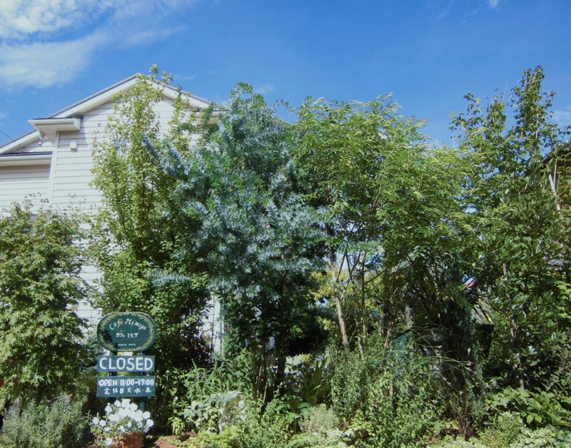 f:id:dancingbrave1986:20120816144904j:image f:id:dancingbrave1986:20120816144904j:image