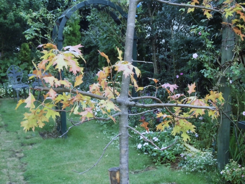 f:id:dancingbrave1986:20121007163238j:image f:id:dancingbrave1986:20121007163238j:image