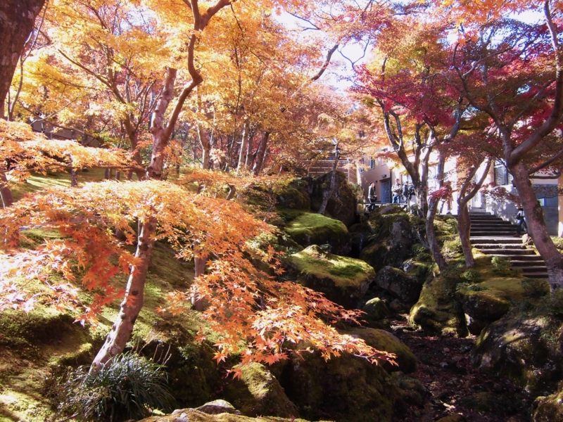 f:id:dancingbrave1986:20121121115318j:image