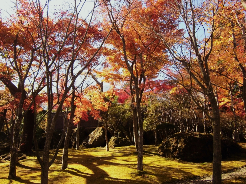 f:id:dancingbrave1986:20121121115418j:image