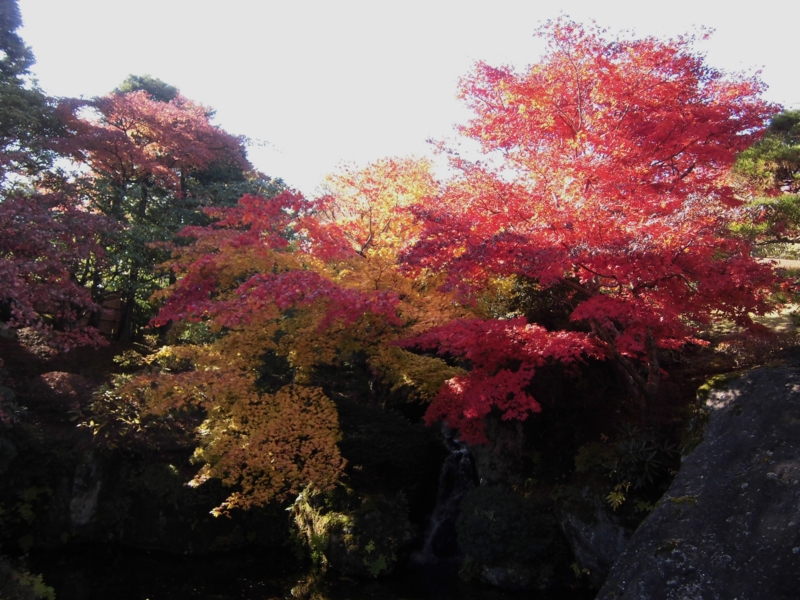 f:id:dancingbrave1986:20121121120150j:image