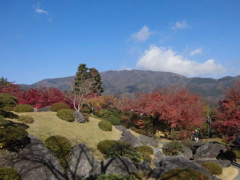 f:id:dancingbrave1986:20121121120404j:image