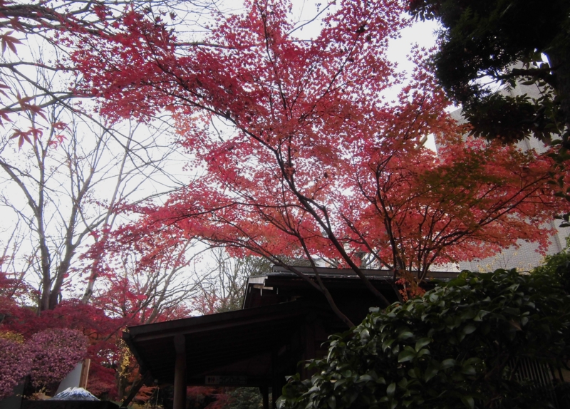 f:id:dancingbrave1986:20121205143115j:image