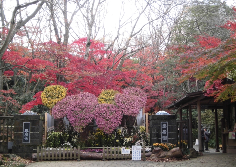 f:id:dancingbrave1986:20121205143219j:image